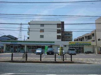 マンマチャオくずは店　（綺麗・清潔・評判の店）　