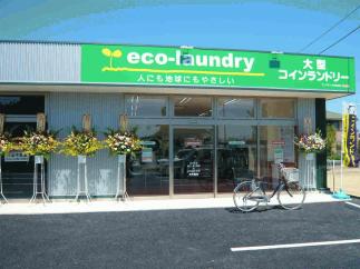 マンマチャオ安食台店　（綺麗・清潔・評判の店）　